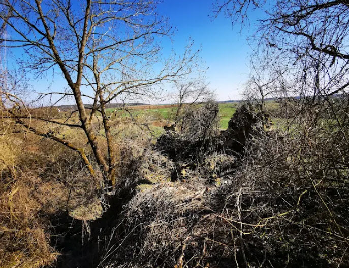 Ruine Hohenburg bei Thalheim, Germany